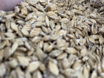 24 tonnes of Steam rolled Barley in Bulker Bags 