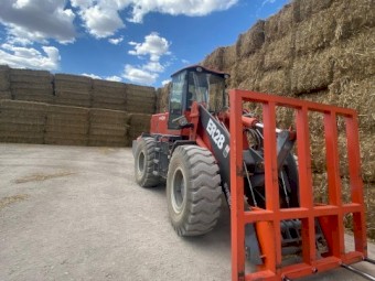 Everun Loader ER28 2019