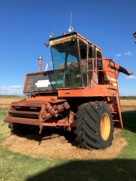 1980's 760 Massey Ferguson Header