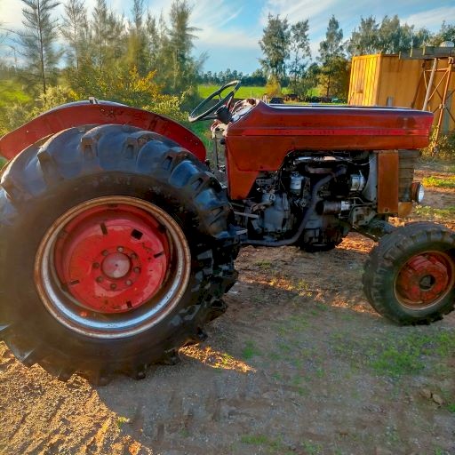 Massey Ferguson 165 Tractor