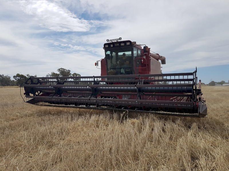 1640 Case IH wrecking parts only