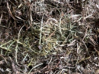 Vetch Hay 8x4x3 Bales