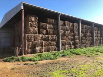 Vetch Hay 8x4x3 Bales