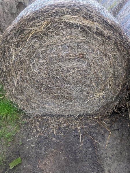 Wheaten/Clover Hay (70/30)