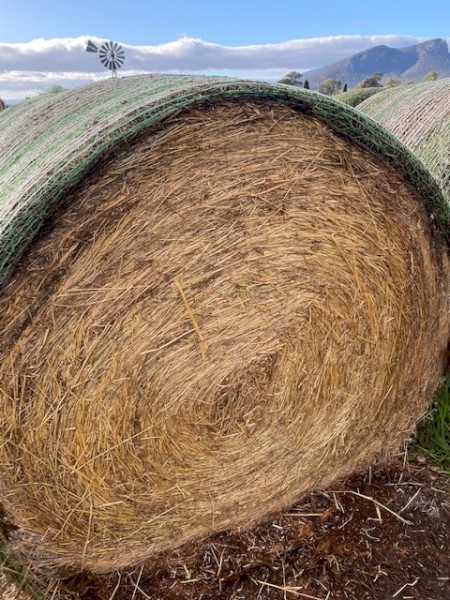 Pasture Hay rolls