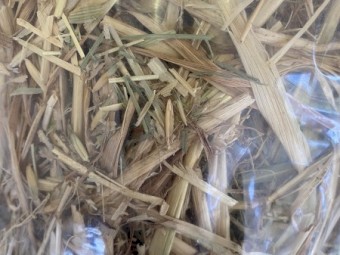 Oaten Hay 8x4x3 Bales