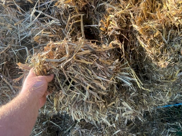 140mt Oaten Hay 550kg 8x4x3 Bales (C Grade)