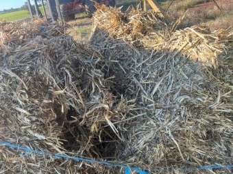 140mt Oaten Hay 550kg 8x4x3 Bales (C Grade)