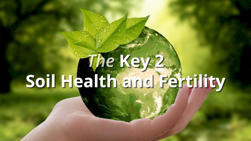 100% Natural, Bio-available Humus Powder