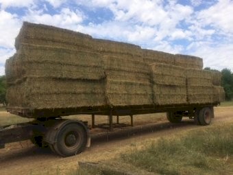 Lucerne Hay 8x4x4