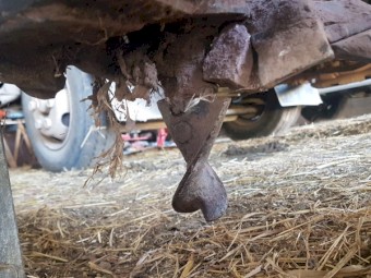 Hanmey Post Hole Digger 3PL PTO