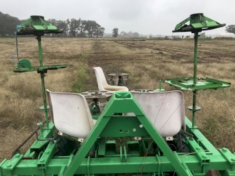 Compact Carrousel mechanical transplanter 3 rows 80cm with beds