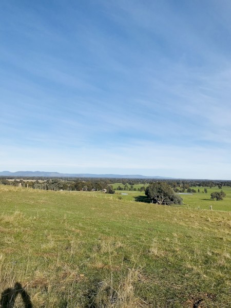 WANTED Land for Lease or Sale to Run Sheep