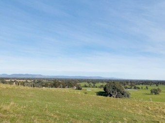 WANTED Land for Lease or Sale to Run Sheep