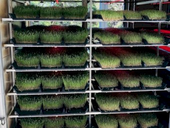 FS 500 Fodder Solutions Units