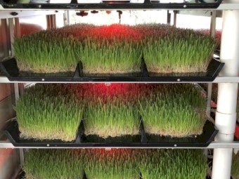 FS 500 Fodder Solutions Units