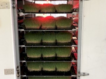 FS 500 Fodder Solutions Units