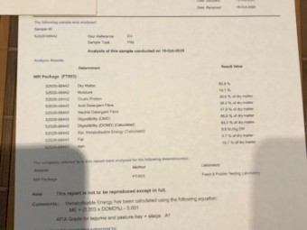 A1 Vetch Hay 700kg 8x4x3 Bales