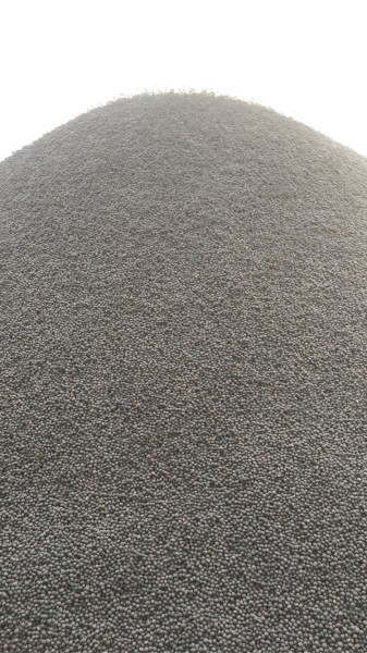 Morava Vetch Cleaned 