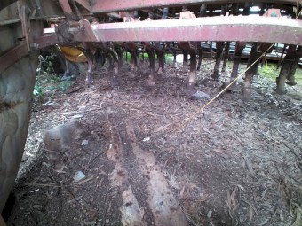 Massey Ferguson 24 Run Combine