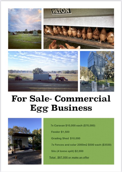 Complete Egg Production 