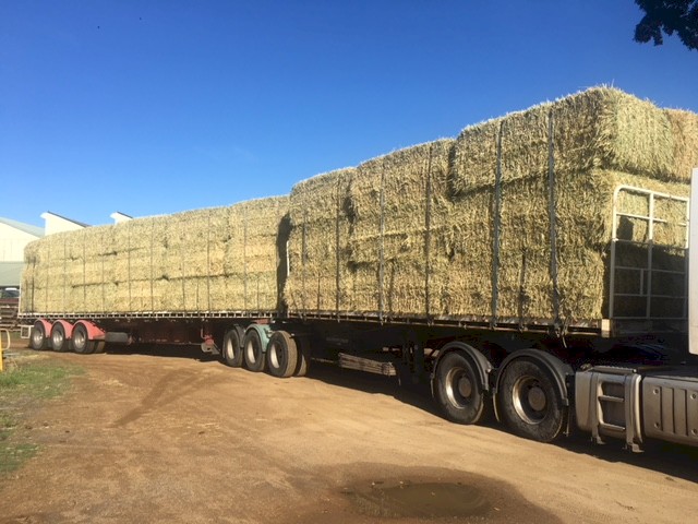 Wheaten Hay 500kg 8x4x3 Bales