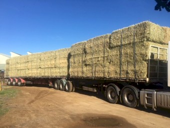 Wheaten Hay 500kg 8x4x3 Bales