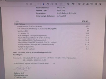 2021 Vetch Mix Hay Weather Damaged