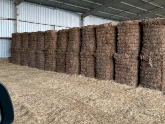 2021 Vetch Mix Hay Weather Damaged