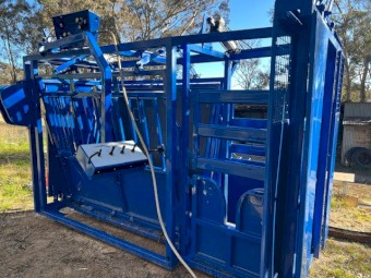 Thompson Longhorn Monarch Cattle Crush