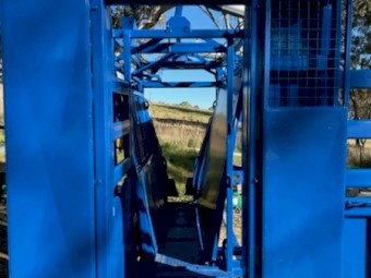 Thompson Longhorn Monarch Cattle Crush