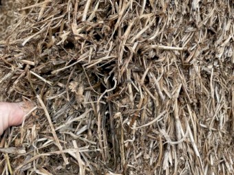 140mt Vetch Hay 8x4x3 Bales