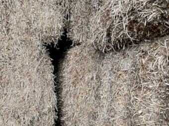 140mt Vetch Hay 8x4x3 Bales