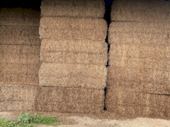 140mt Vetch Hay 8x4x3 Bales