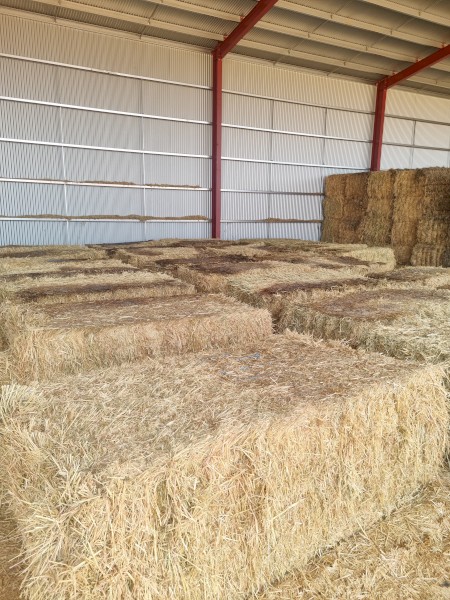 145mt Oaten Hay 650kg 8x4x3 Bales