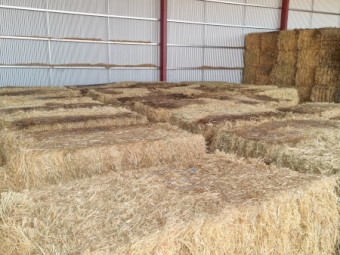 145mt Oaten Hay 650kg 8x4x3 Bales