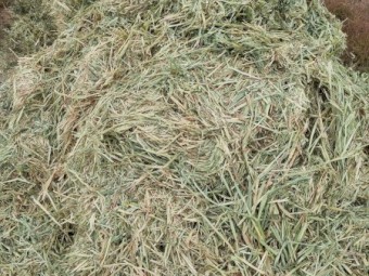 145mt Oaten Hay 650kg 8x4x3 Bales