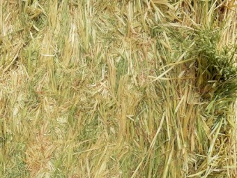 1500 x Oaten Hay 500-560kg 8x4x3 Bales