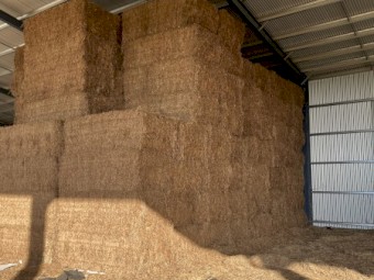 150mt Vetch Hay 600-650kg 8x4x3 Bales