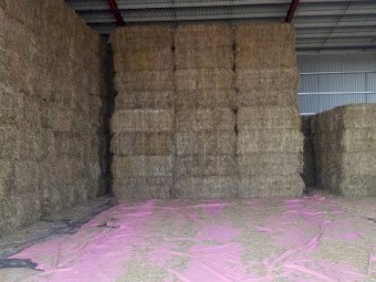 Oaten Hay 8x4x4 Bales