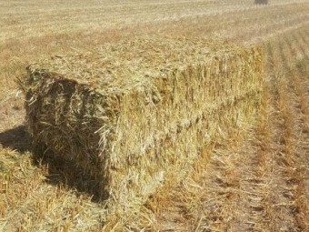 Oaten Hay 8x4x4 Bales