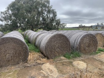Oaten hay