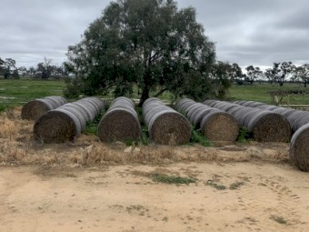 Oaten hay