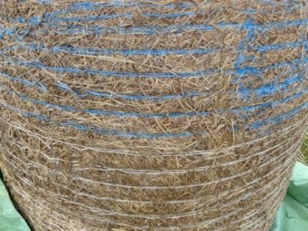 340 x Rye and Spear Grass 500kg 4x4 Silage Rolls