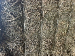 350mt Vetch Hay 650kg 8x4x3 Bales