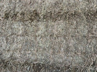 350mt Vetch Hay 650kg 8x4x3 Bales