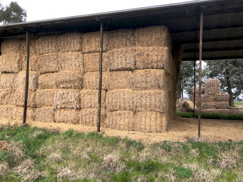 180mt Barley Straw 8x4x3 Bales
