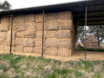 180mt Barley Straw 8x4x3 Bales