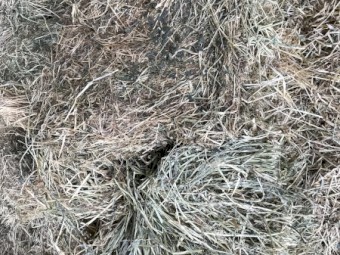 Clover/Rye Hay