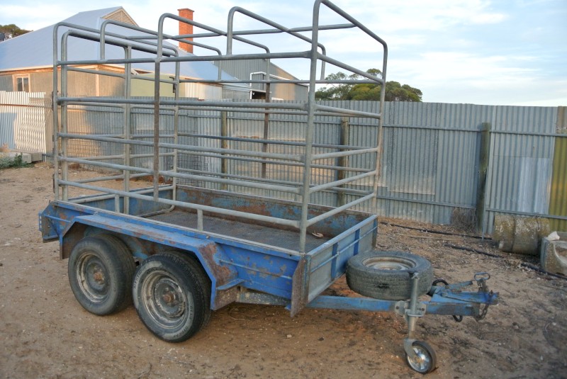 Heavy duty Tandem Trailer with Stock Crate.